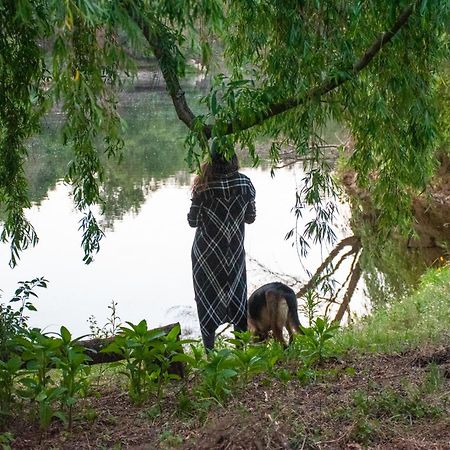 Quinta Da Lontra Villa Tábua Eksteriør billede