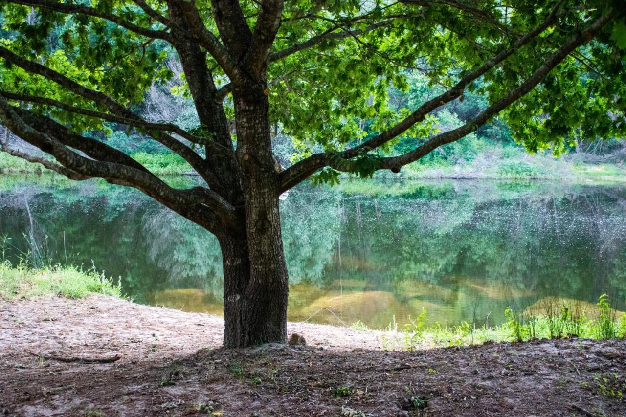 Quinta Da Lontra Villa Tábua Eksteriør billede