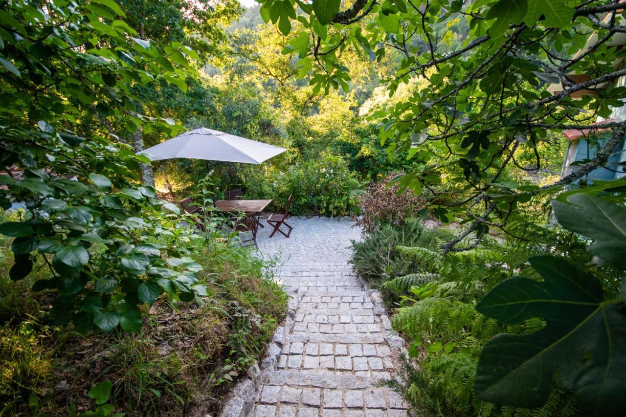 Quinta Da Lontra Villa Tábua Eksteriør billede