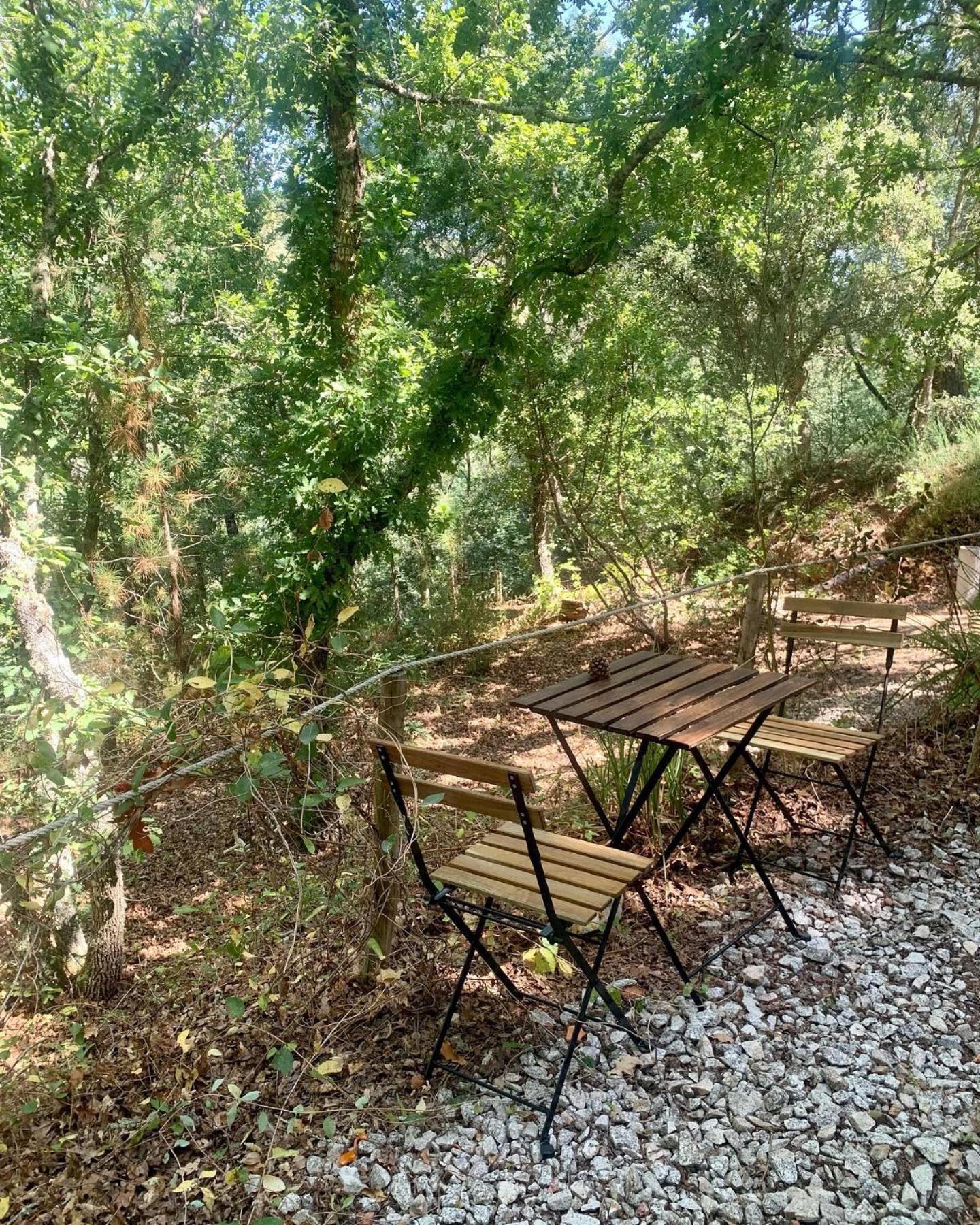 Quinta Da Lontra Villa Tábua Eksteriør billede