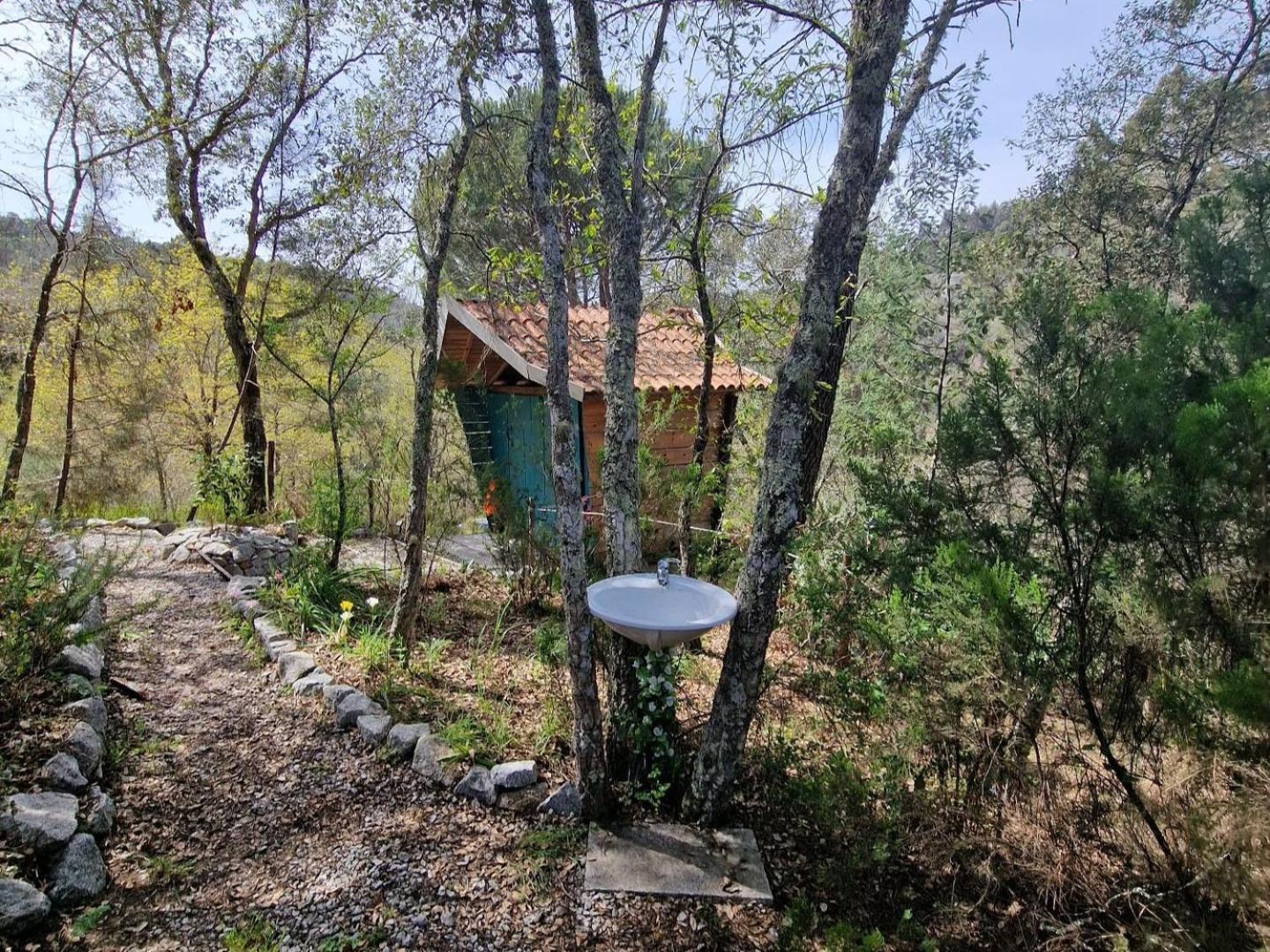 Quinta Da Lontra Villa Tábua Eksteriør billede