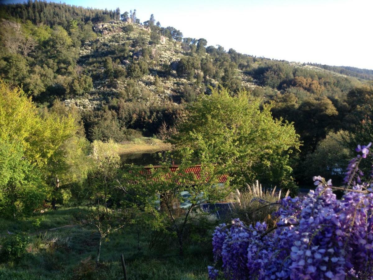 Quinta Da Lontra Villa Tábua Eksteriør billede